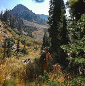 Meet your Posher, Jackson